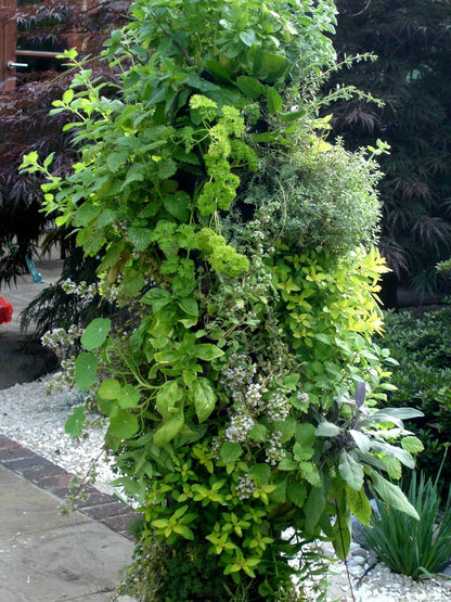 BALDUR-Garten Apollo Exports International AP-FT002 Torre de Flores no Empotrado, 3 pies
