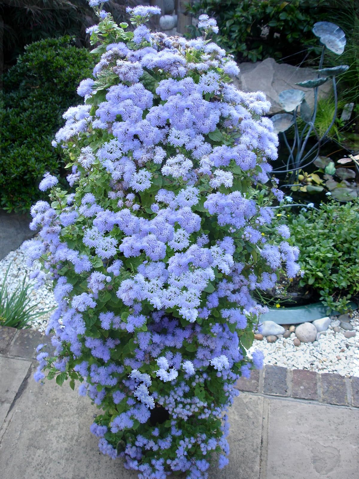 BALDUR-Garten Apollo Exports International AP-FT002 Torre de Flores no Empotrado, 3 pies