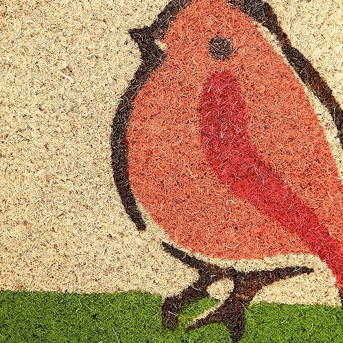 DII Natural Coir Fiber, 18x30" Entry Way Outdoor Door Mat with Non Slip Backing - For the Birds
