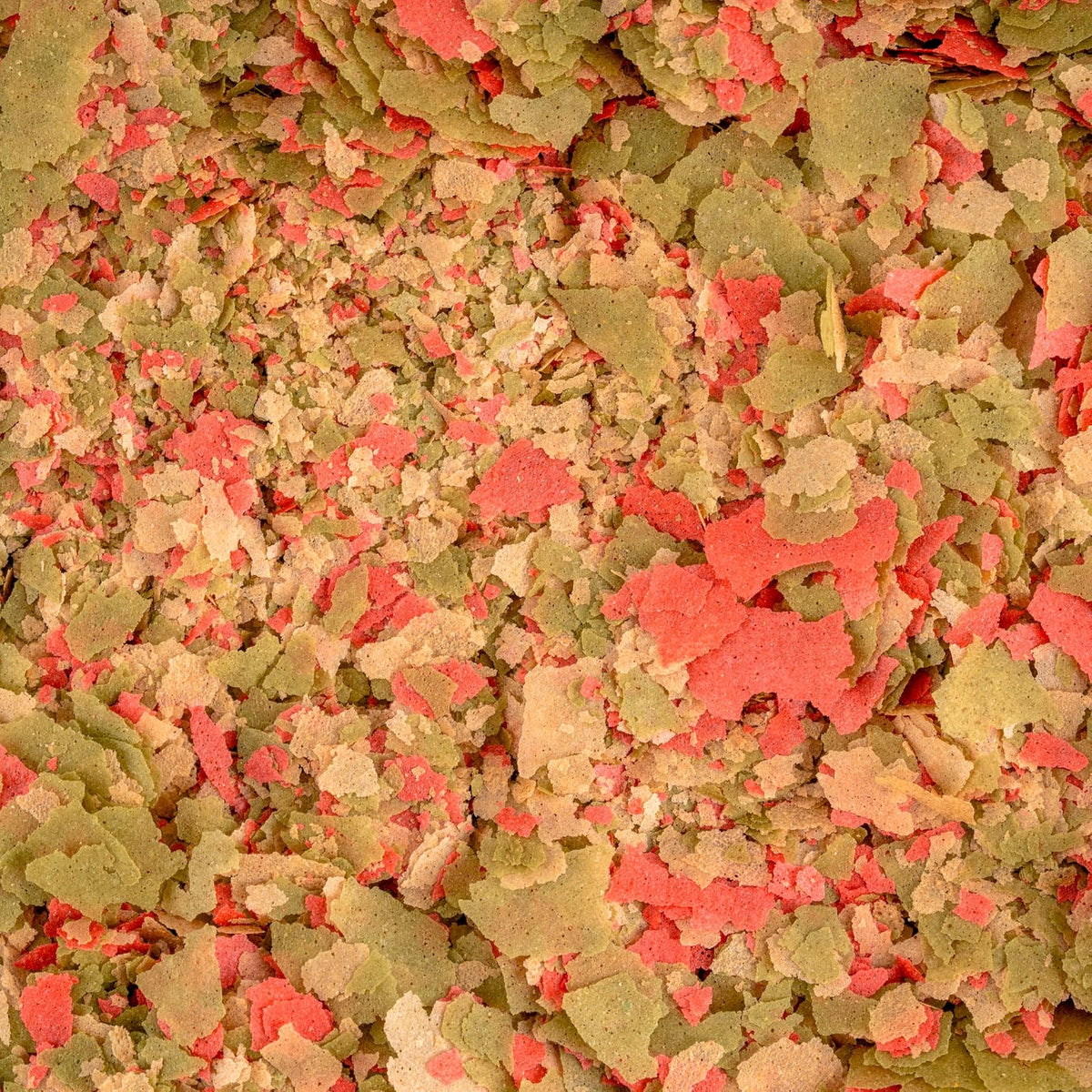 Tetra Lomas Hojuelas Premium Alimento para Peces con 100 Gramos