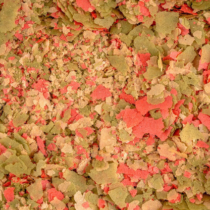 Tetra Lomas Hojuelas Premium Alimento para Peces con 100 Gramos
