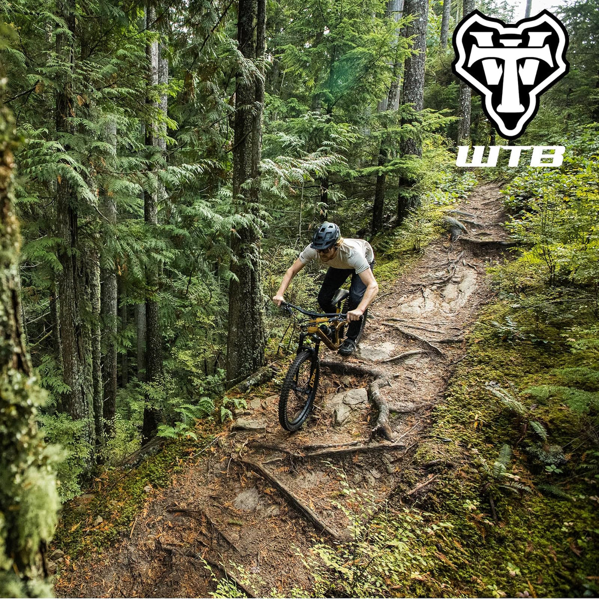 WTB Verdict Mountain Bike Front Tire