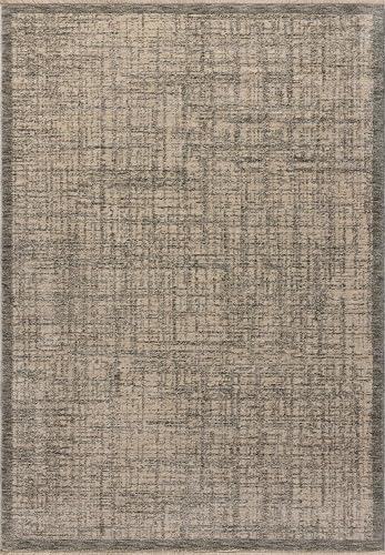 Loloi II Winston Collection WIT-01 Denim/Bone 3'-11" x 5'-7" Area Rug | WIT-01 Aprox. 4x6 azul sala de estar, comedor, recámara, alfombra de área